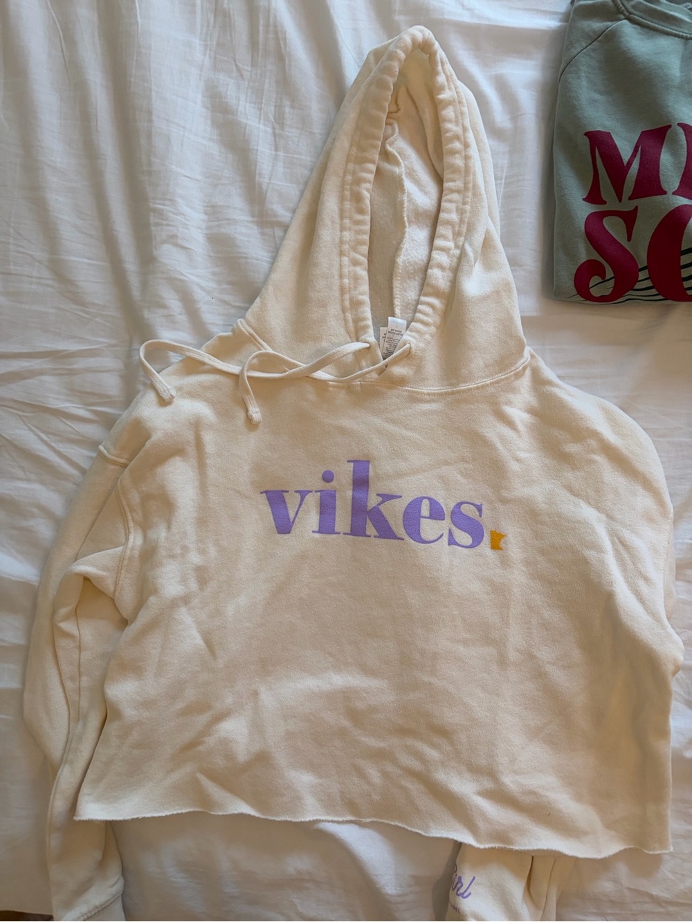 Vikes Cropped Hooded Sweatshirt in Cream